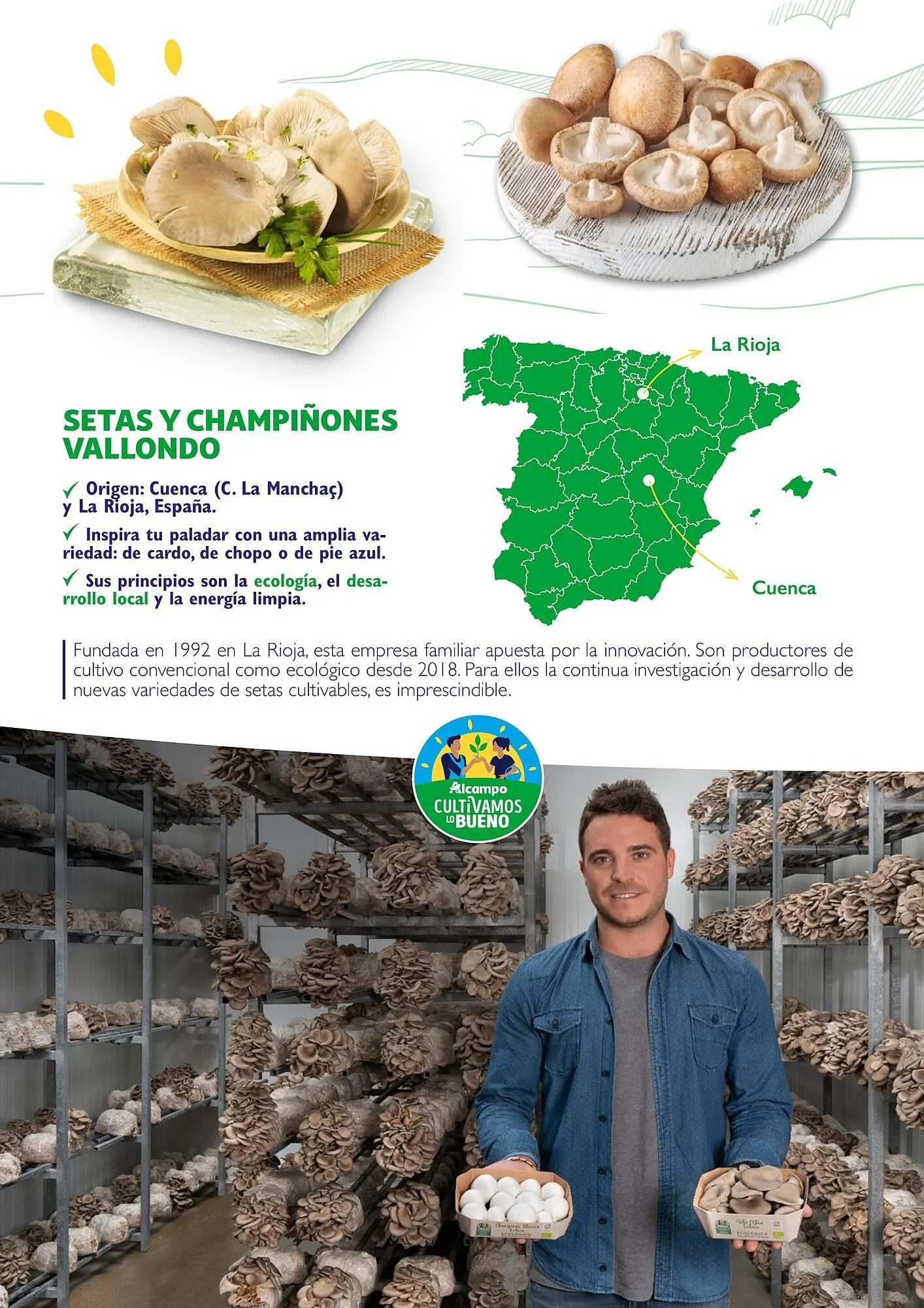 Catálogo de Folleto Alcampo 23 de abril al 31 de diciembre 2025 - Página 42