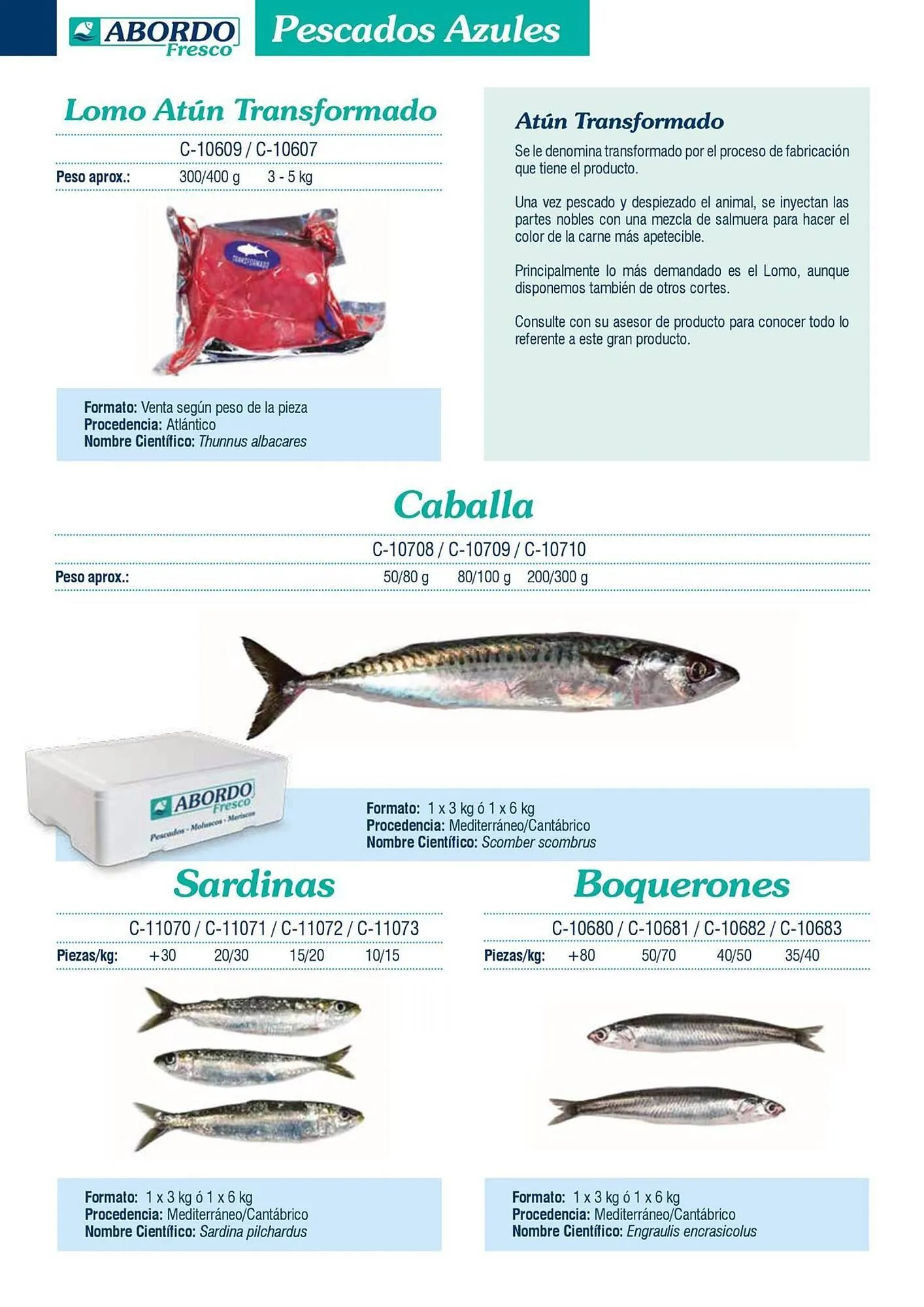 Catálogo de Folleto Abordo 5 de marzo al 30 de junio 2026 - Página 6