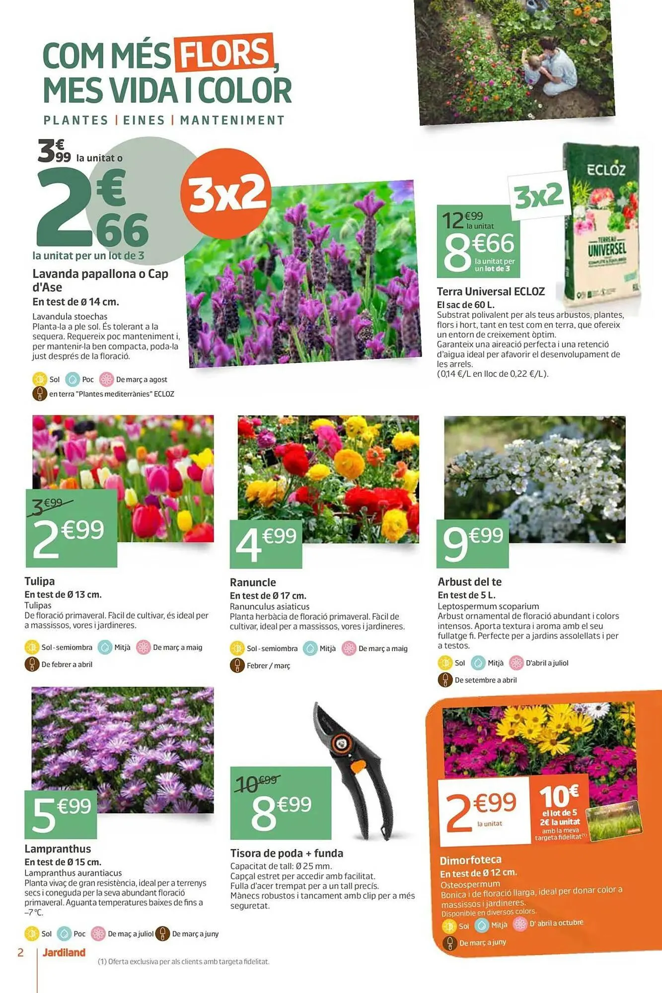 Catálogo de Catálogo Jardiland 5 de marzo al 15 de marzo 2026 - Página 2
