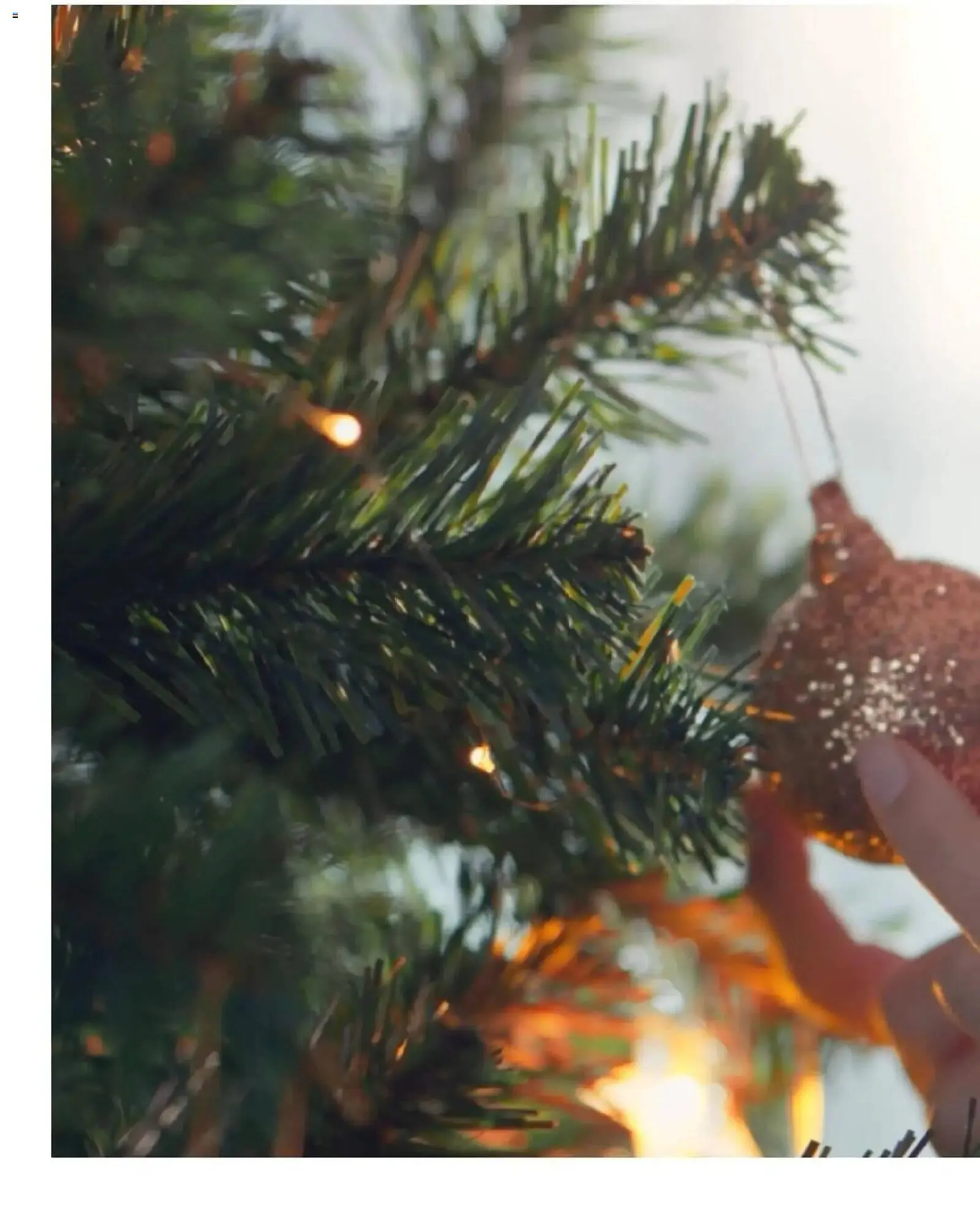 Catálogo de Catálogo Bauhaus 5 de noviembre al 24 de diciembre 2025 - Página 46