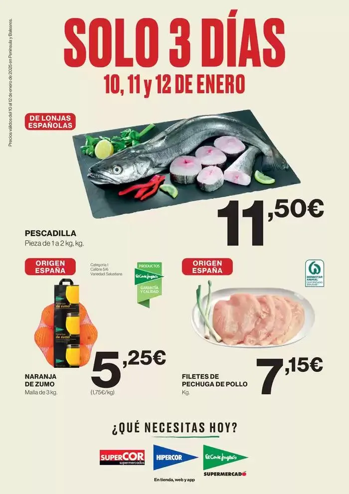 Catálogo de SOLO 3 DÍAS 10 de enero al 12 de enero 2025 - Página 1