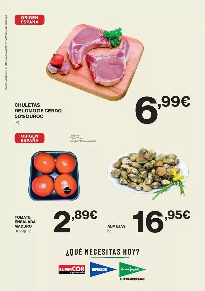 Catálogo de SOLO 3 DÍAS 10 de enero al 12 de enero 2025 - Página 2