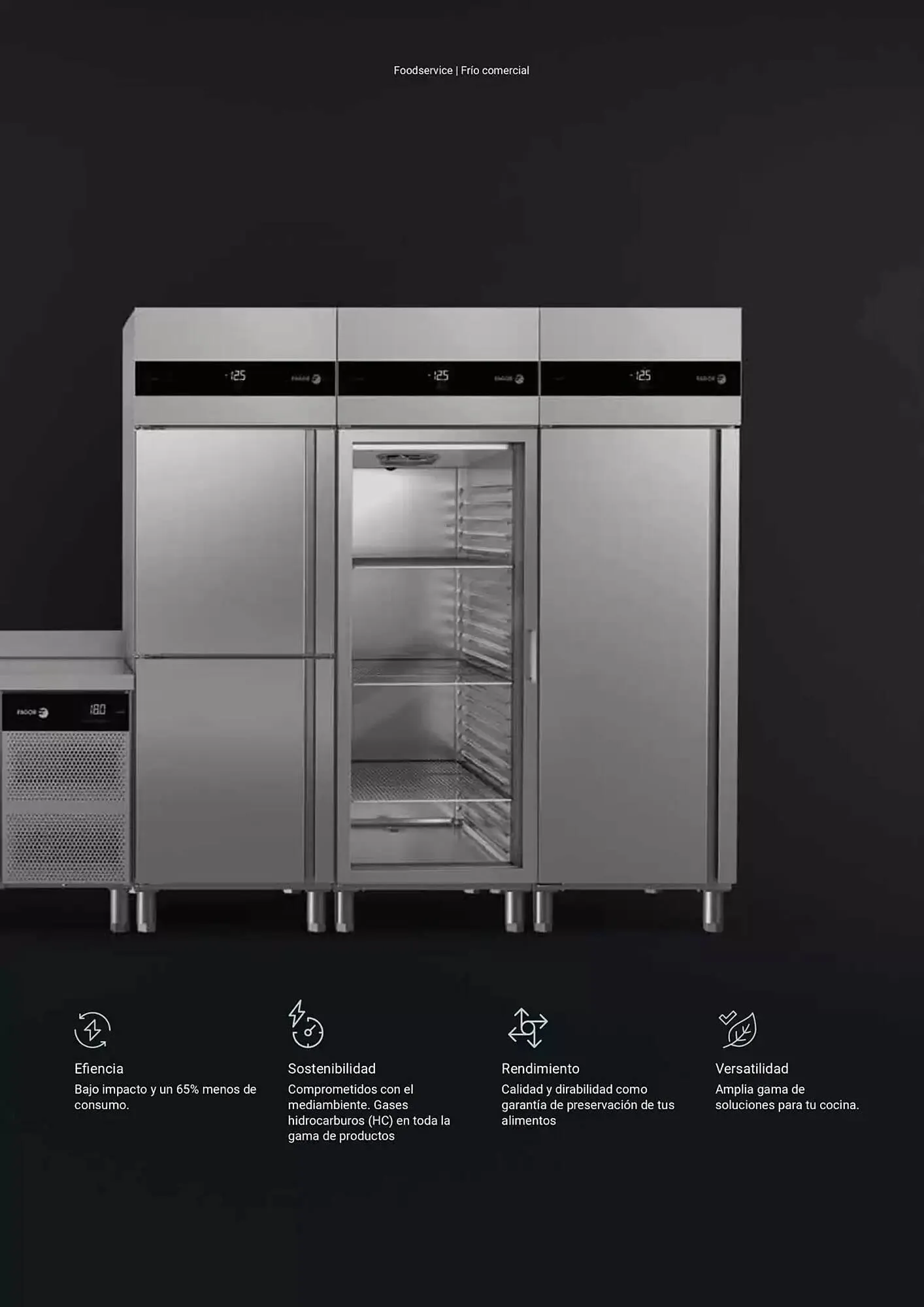 Catálogo de Folleto Fagor 3 de marzo al 1 de enero 2026 - Página 251