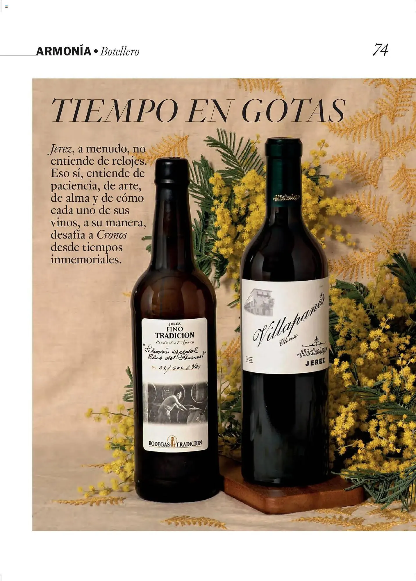 Catálogo de Catálogo El Corte Inglés 1 de abril al 30 de junio 2026 - Página 74