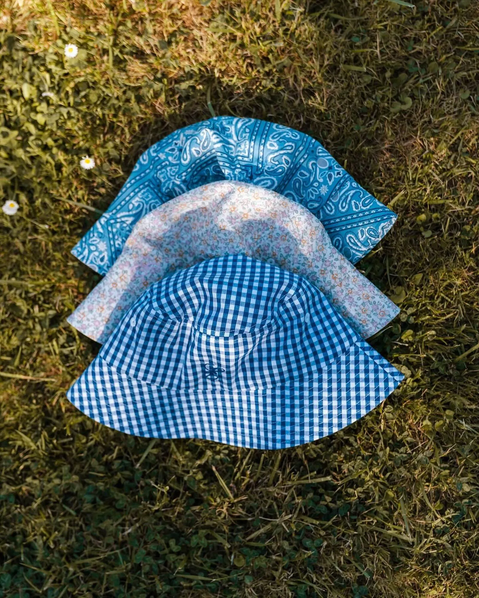 Catálogo de Folleto ese O ese 1 de junio al 1 de julio 2025 - Página 3