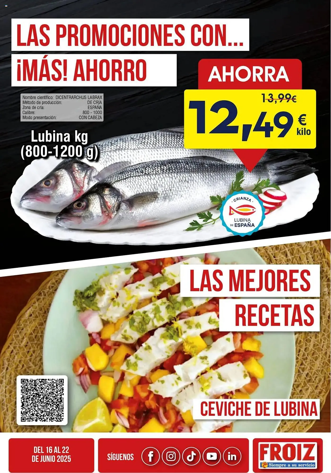 Catálogo de Folleto FROIZ 16 de junio al 22 de junio 2025 - Página 2