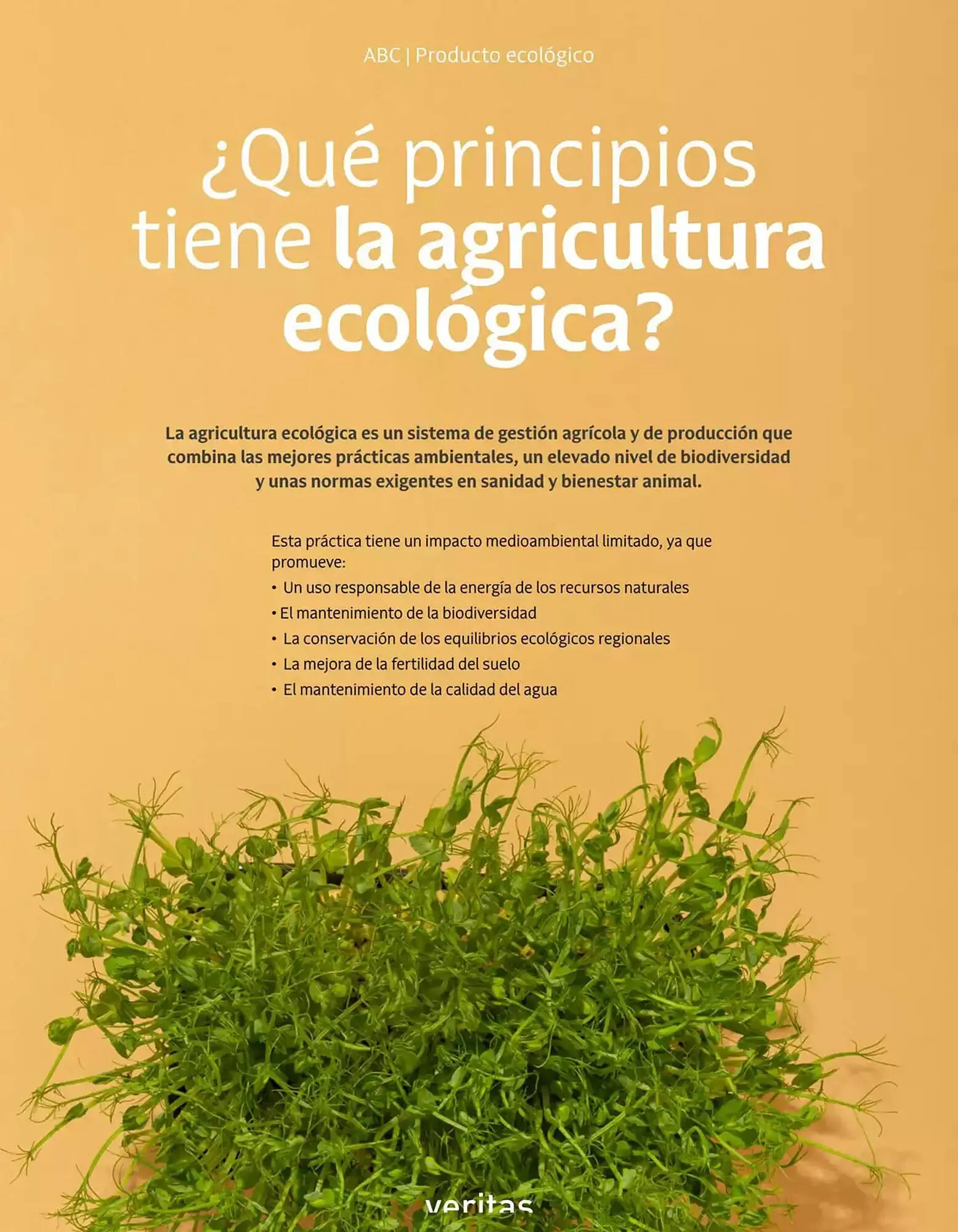 Catálogo de Folleto Veritas 1 de abril al 31 de mayo 2025 - Página 26