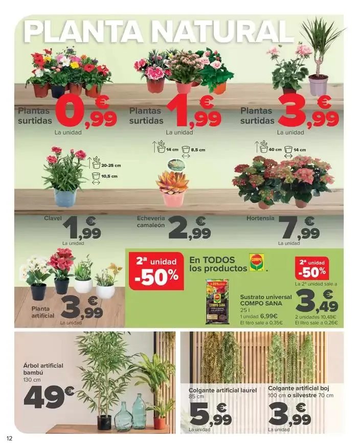 Catálogo de JARDÍN 14 de marzo al 10 de abril 2025 - Página 12