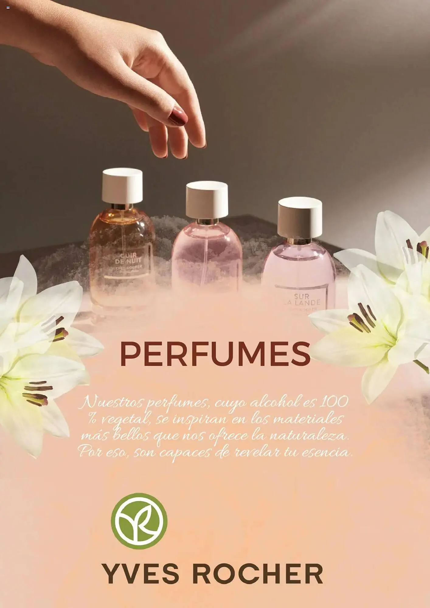 Folleto Yves Rocher - 1