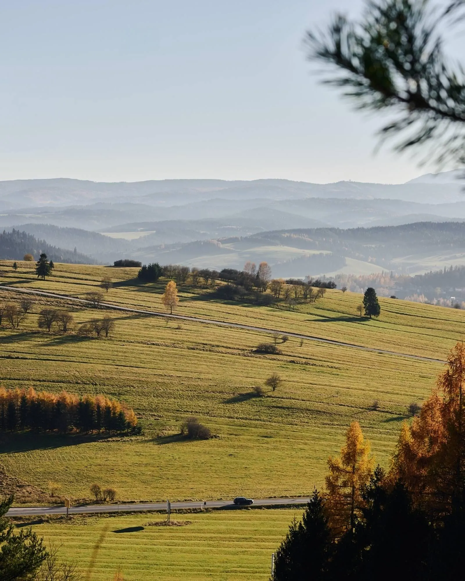 Catálogo de Folleto Napapijri 7 de diciembre al 13 de diciembre 2025 - Página 2