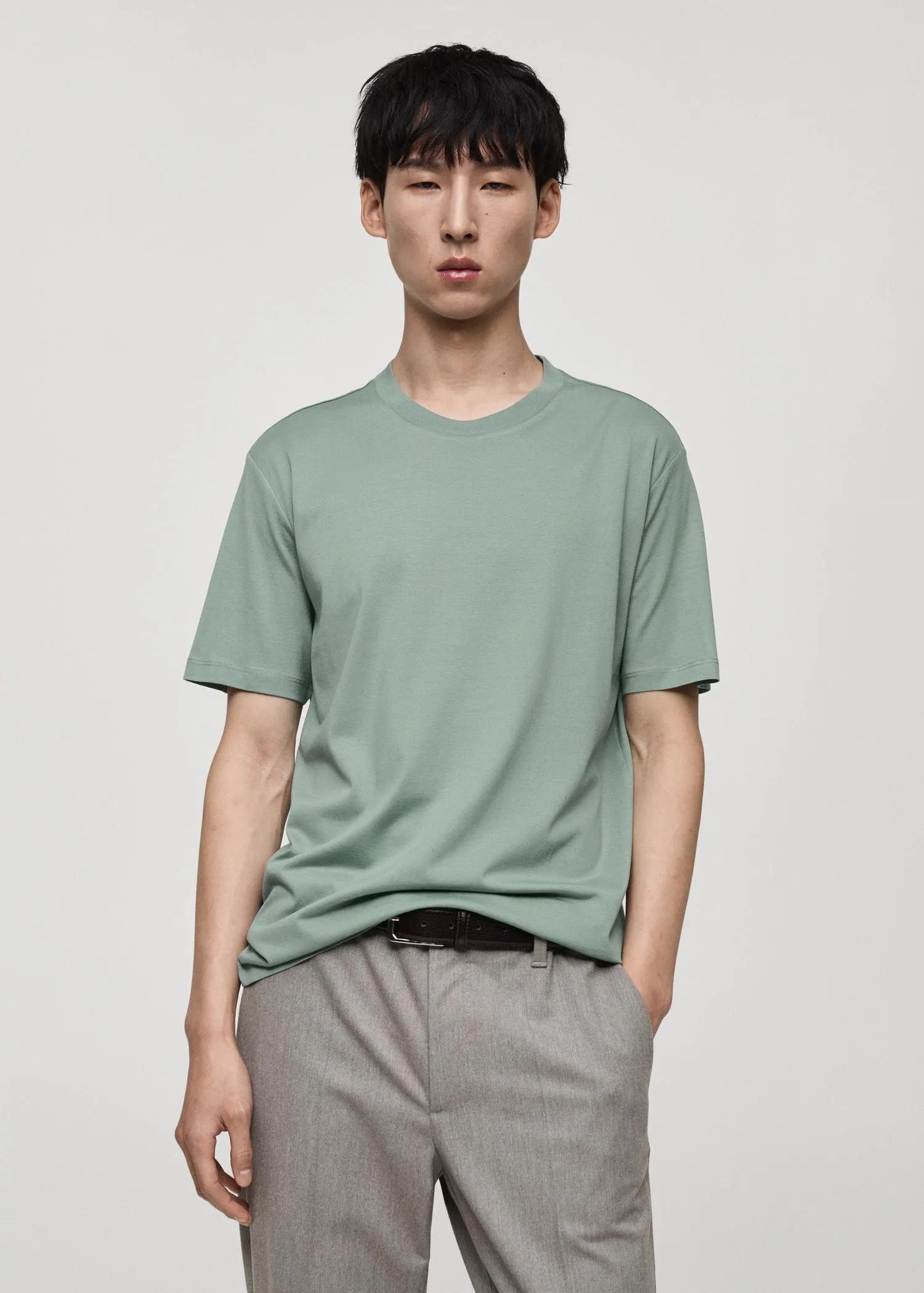 Camiseta 100% algodón regular fit