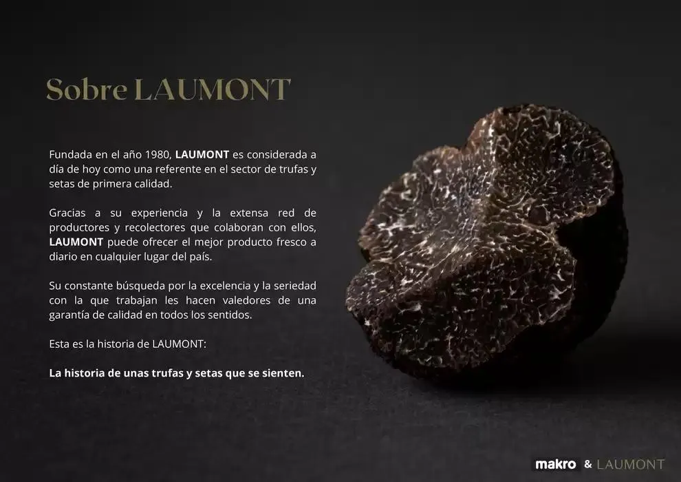 Catálogo de GUIA DE TRUFAS Y SETAS MAKRO - MAKRO 31 de diciembre al 14 de enero 2025 - Página 2