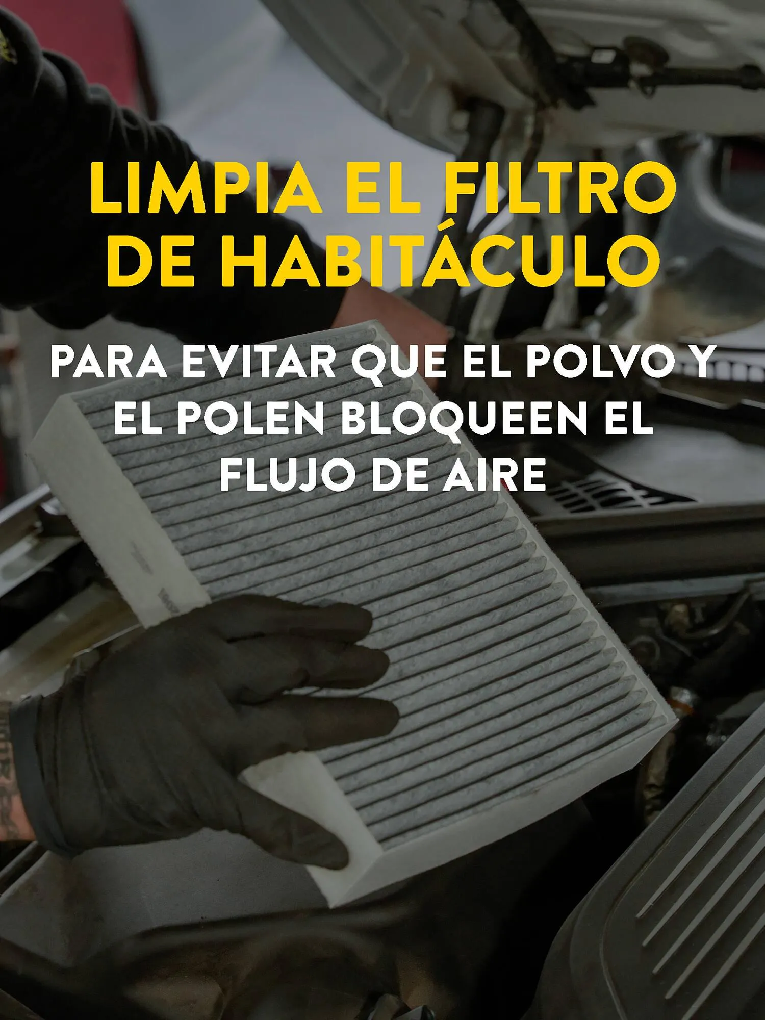 Catálogo de Folleto Rodi 14 de abril al 4 de mayo 2026 - Página 4