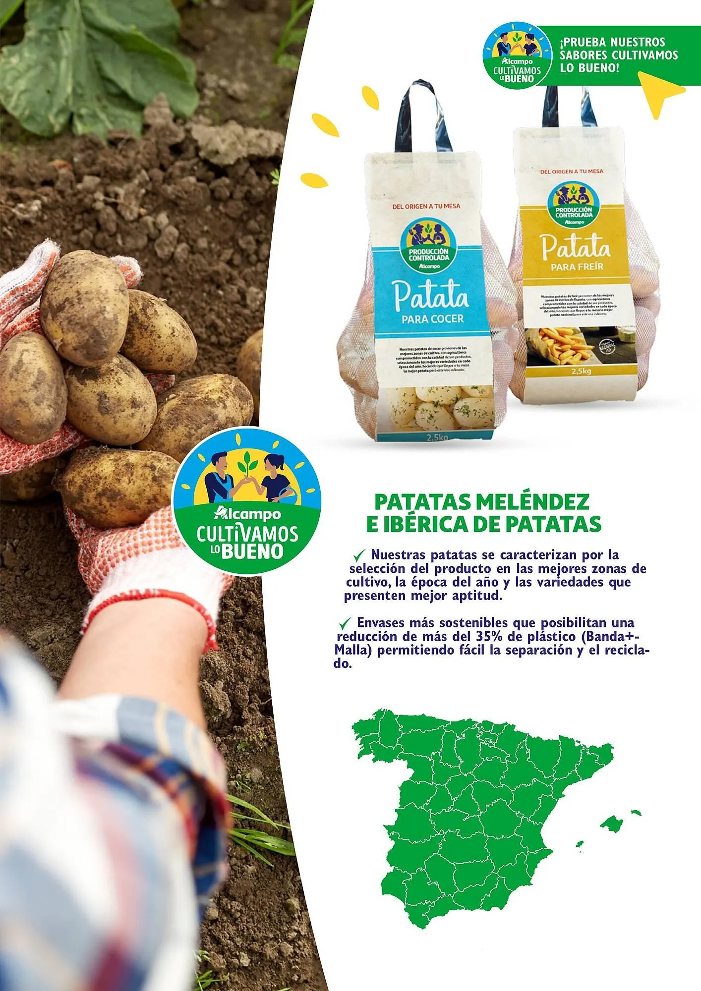 Catálogo de Folleto Alcampo 23 de abril al 31 de diciembre 2025 - Página 39