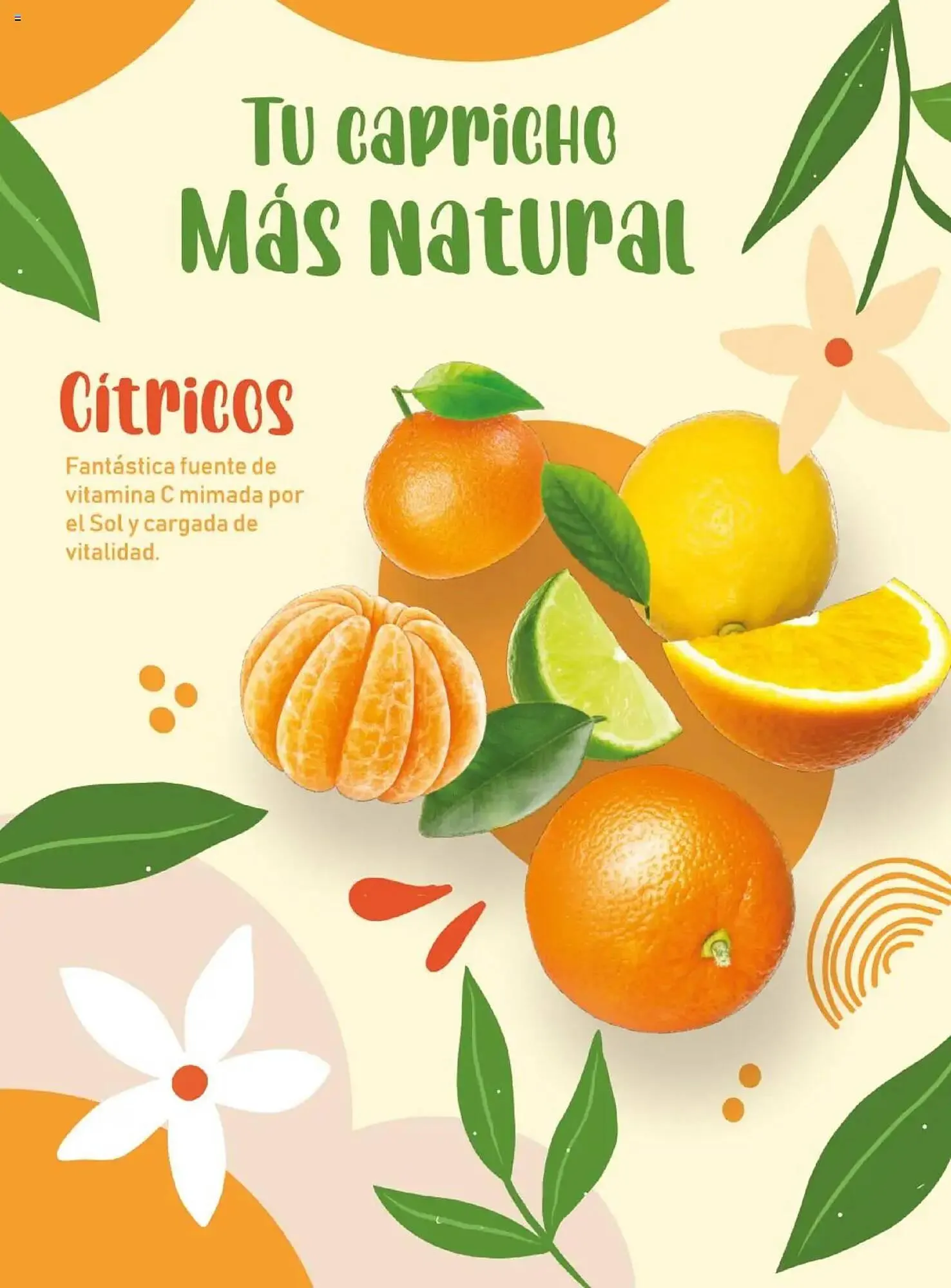 Catálogo de Folleto Costco 8 de abril al 31 de julio 2025 - Página 106