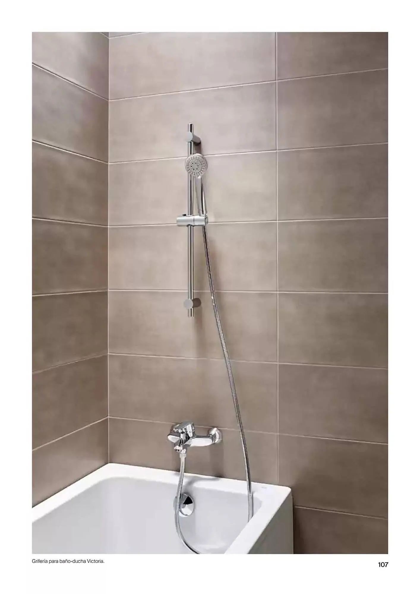 Catálogo de Folleto Roca 9 de enero al 31 de diciembre 2025 - Página 109