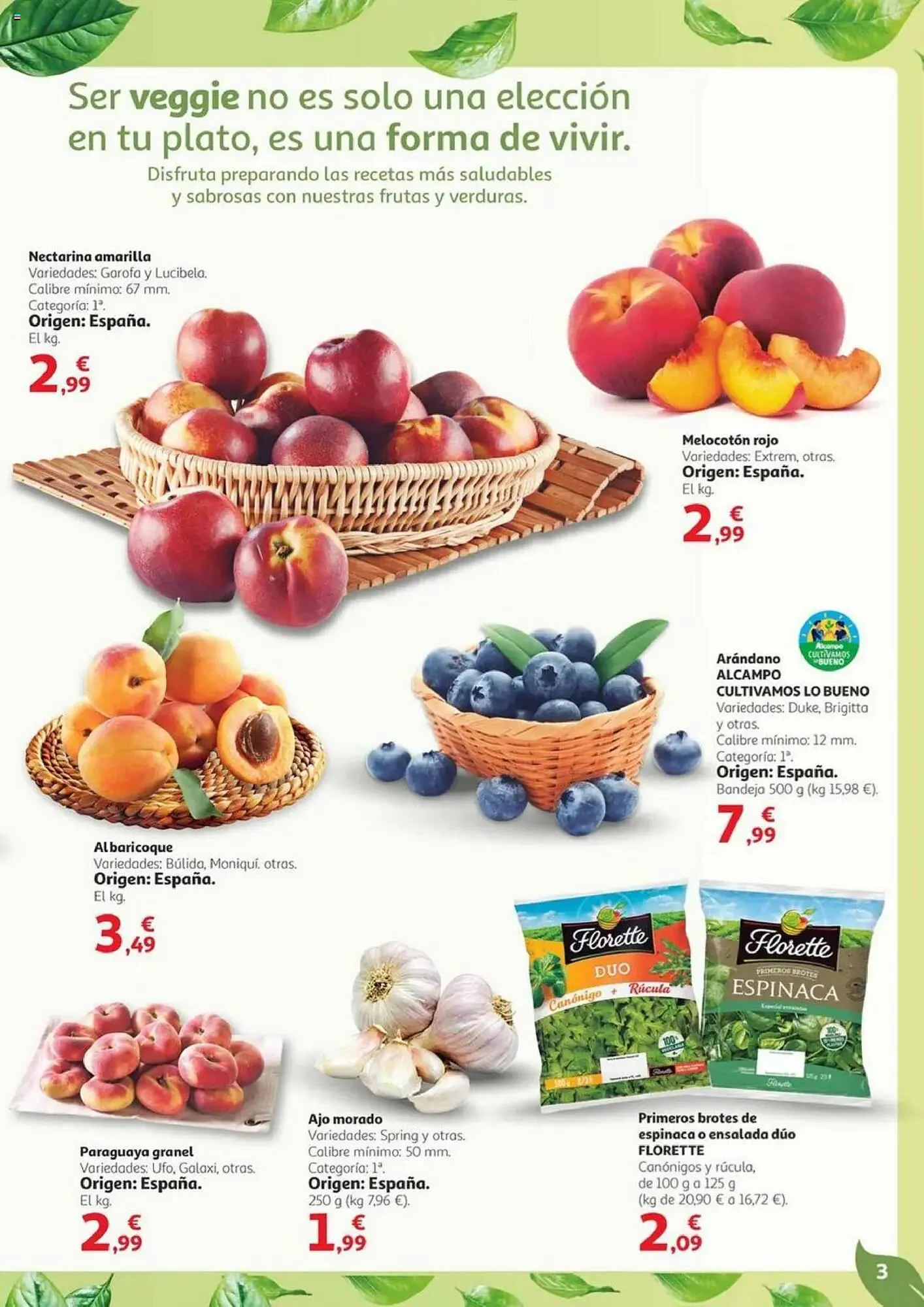 Catálogo de Folleto Alcampo 30 de julio al 13 de agosto 2025 - Página 3