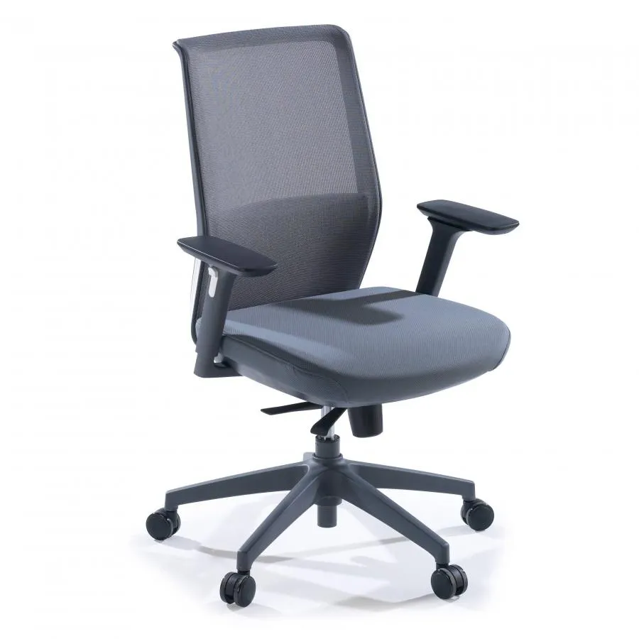 Silla de oficina profesional Five, red, cojin lumbar, Totalmente Ajustable - Gris