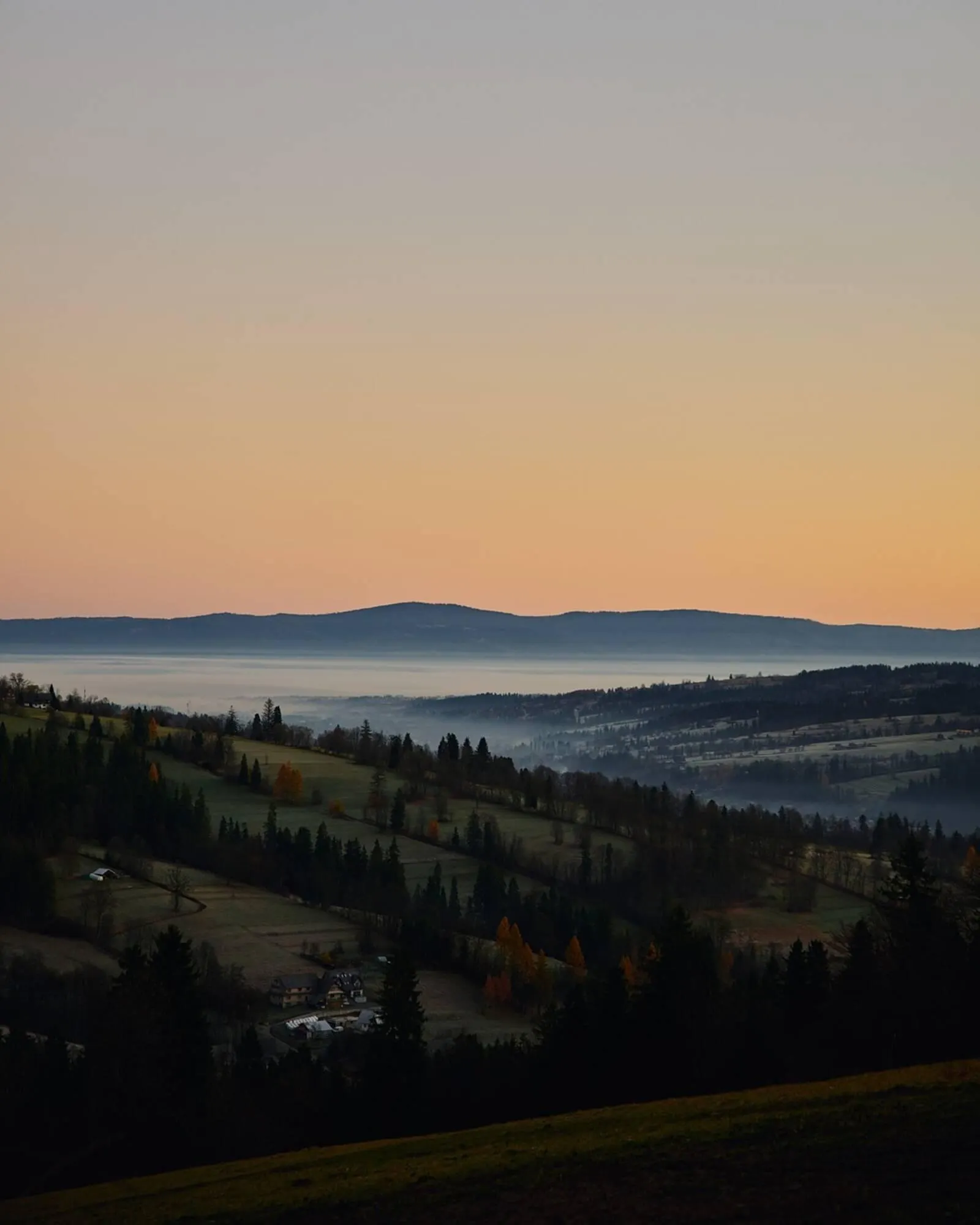 Catálogo de Folleto Napapijri 7 de diciembre al 13 de diciembre 2025 - Página 5