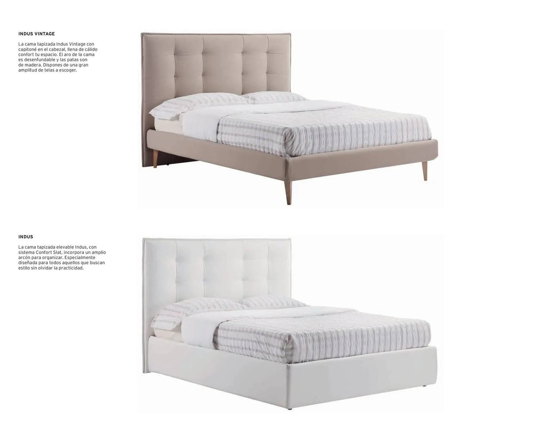 Catálogo de Catálogo Kibuc 5 de enero al 31 de diciembre 2026 - Página 6