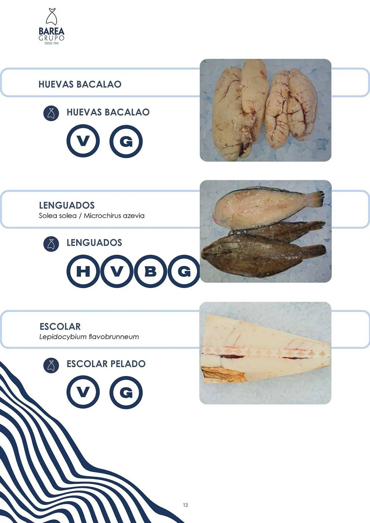 Catálogo de Catálogo Cash Barea 22 de diciembre al 22 de enero 2026 - Página 13