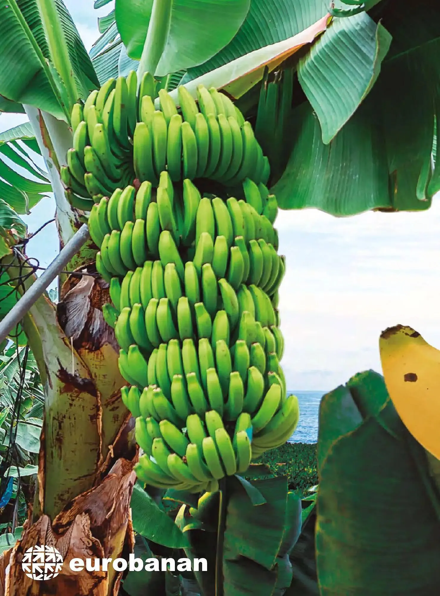 Catálogo de Catálogo Costco 19 de marzo al 31 de mayo 2026 - Página 118