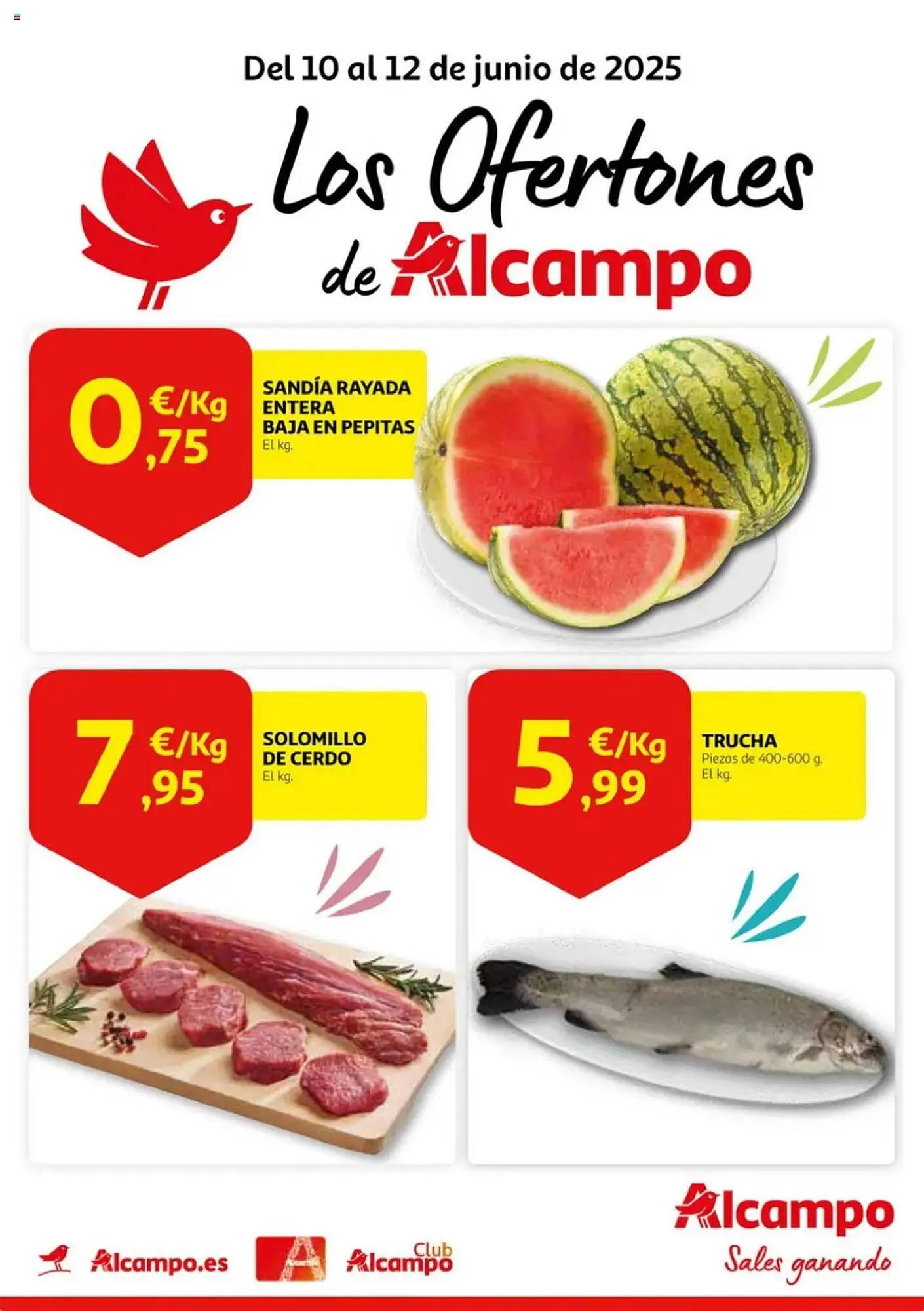 Catálogo de Folleto Alcampo 10 de junio al 12 de junio 2025 - Página 1