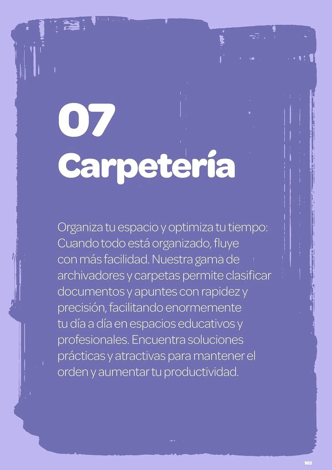 Catálogo de Folleto Dideco 2 de julio al 31 de diciembre 2025 - Página 163