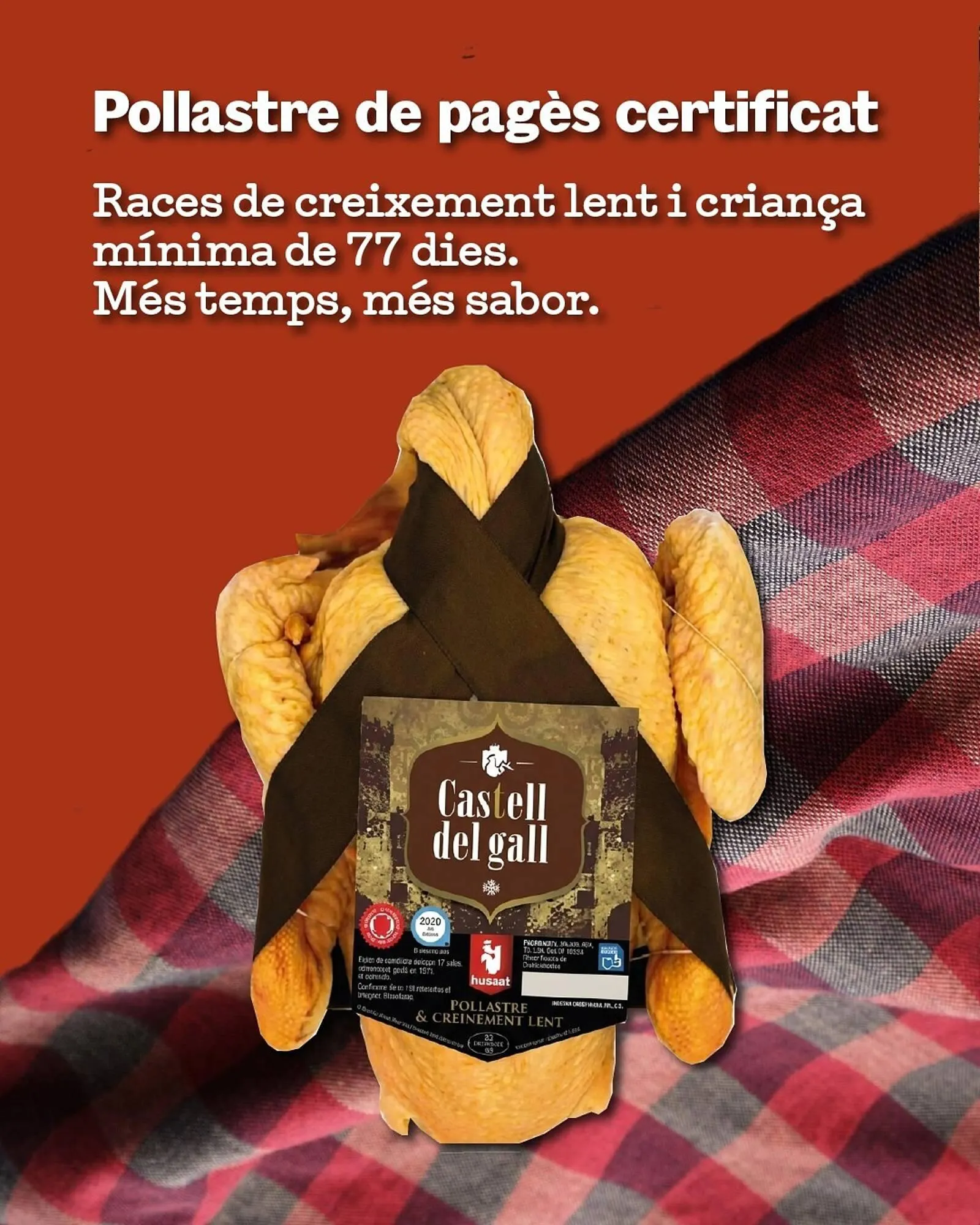 Catálogo de Catálogo Sorli 12 de diciembre al 18 de diciembre 2025 - Página 2