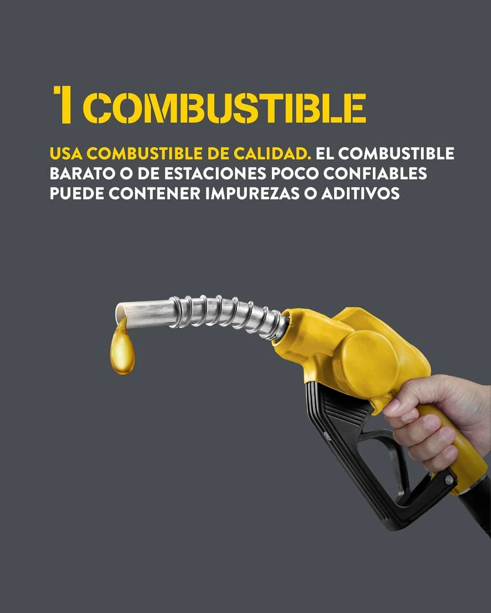 Catálogo de Folleto Rodi 26 de septiembre al 9 de octubre 2025 - Página 2