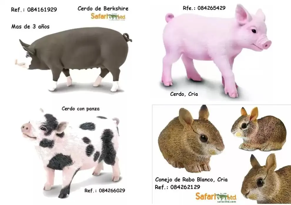 Catálogo de REPRODUCIÓN DE ANIMALES A ESCALA 7 de febrero al 31 de octubre 2025 - Página 18