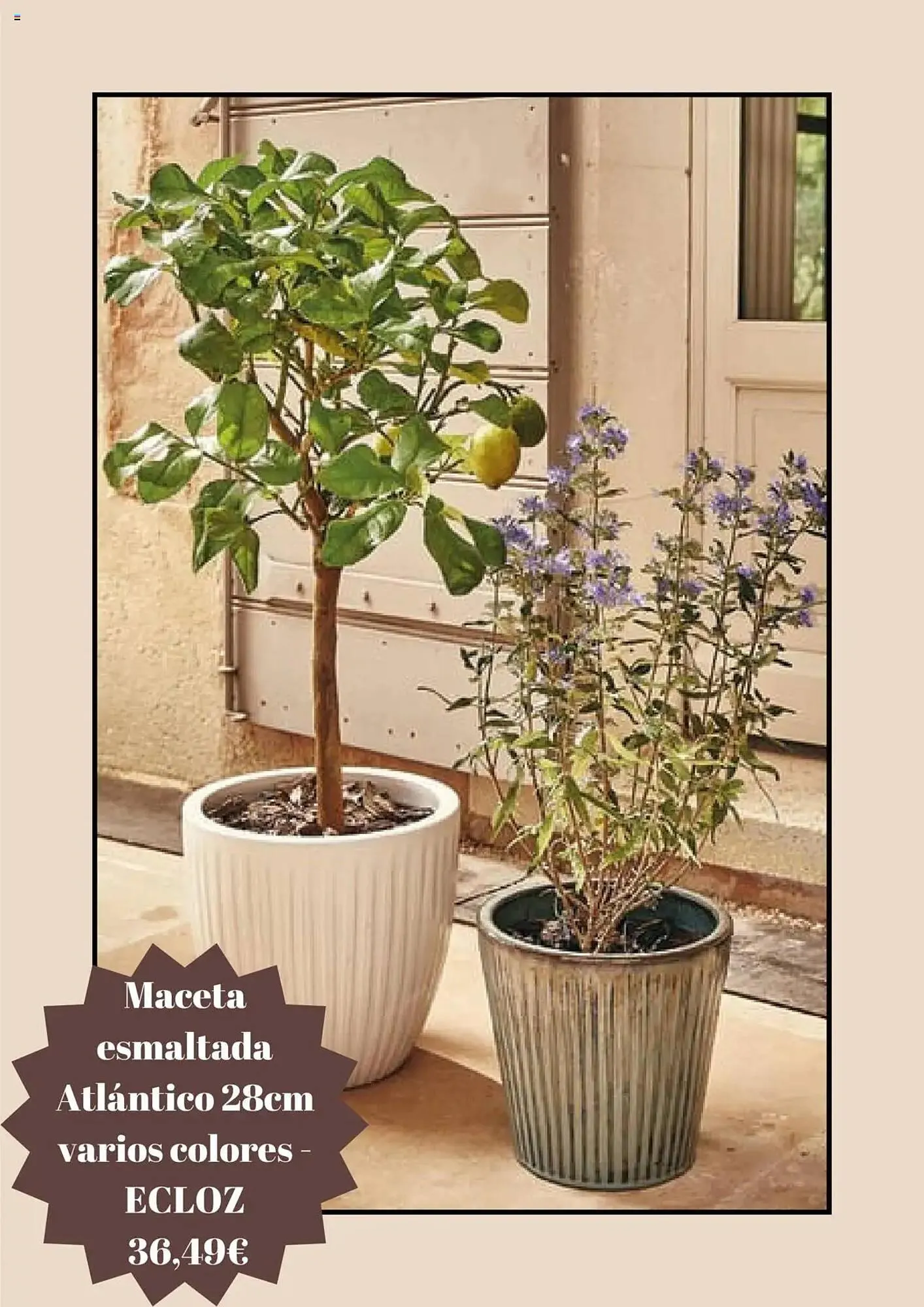 Catálogo de Folleto Jardiland 5 de julio al 5 de agosto 2025 - Página 3