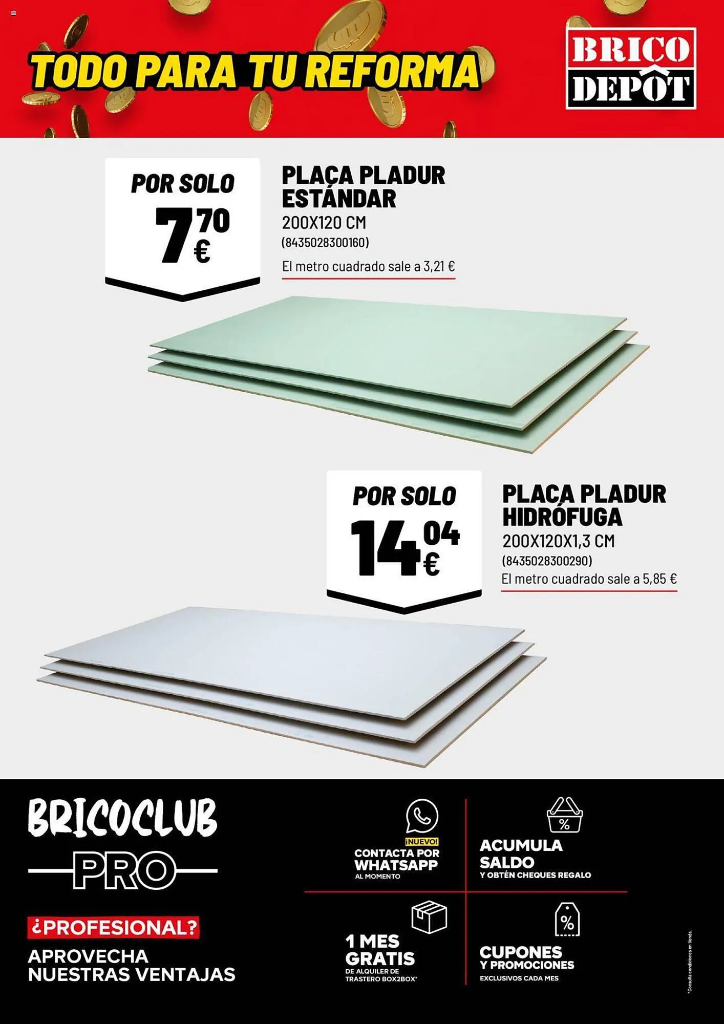 Catálogo de Folleto Brico Depôt 26 de enero al 22 de febrero 2024 - Página 13