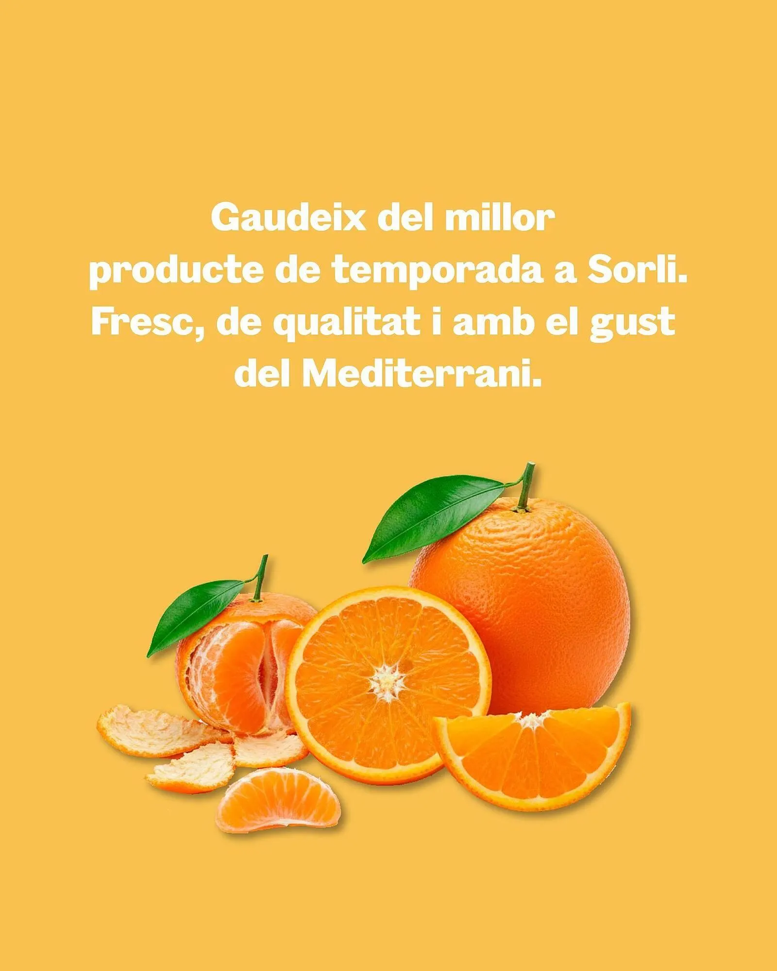 Catálogo de Catálogo Sorli 9 de noviembre al 15 de noviembre 2025 - Página 4