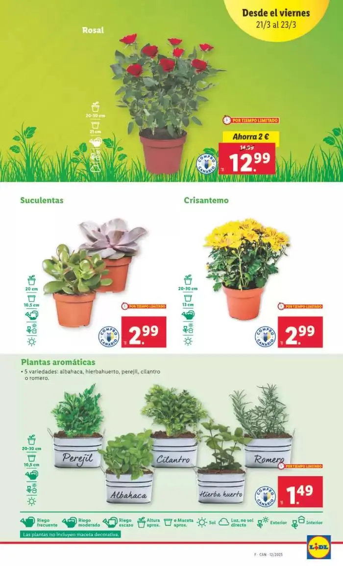 Catálogo de № 1 PRECIO - Ofertas válidas del 17/03 al 23/03 17 de marzo al 23 de marzo 2025 - Página 31