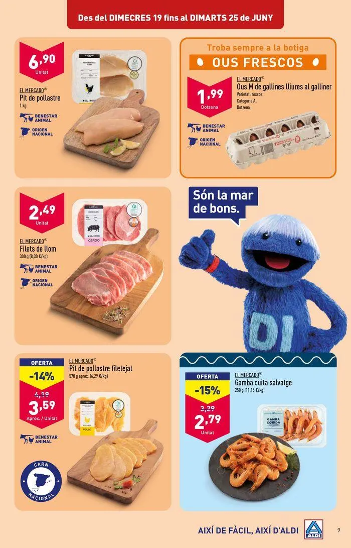 Catálogo de Folleto apertura Aldi 19 de junio al 25 de junio 2024 - Página 9
