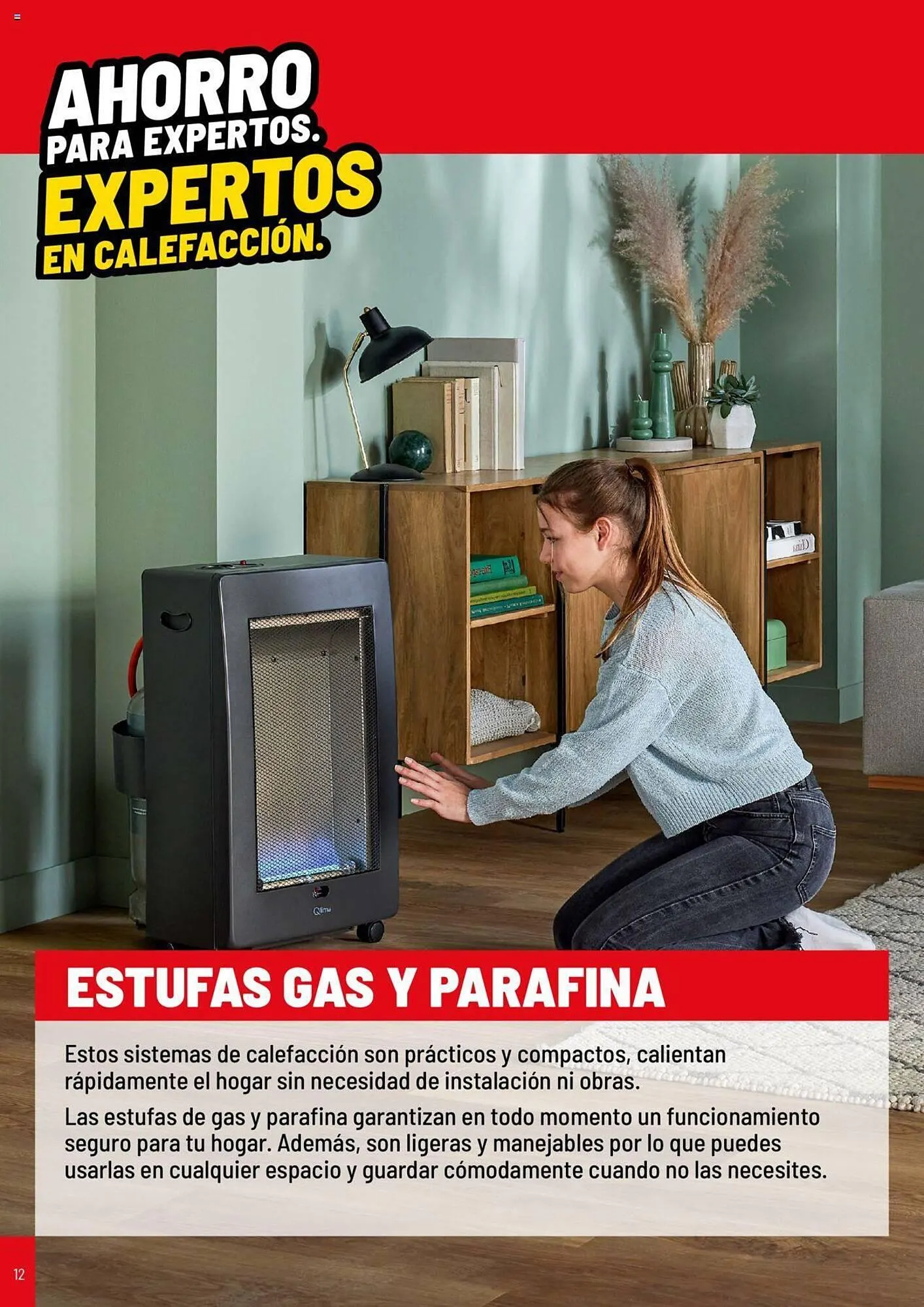 Catálogo de Folleto Brico Depôt 22 de octubre al 31 de marzo 2025 - Página 12