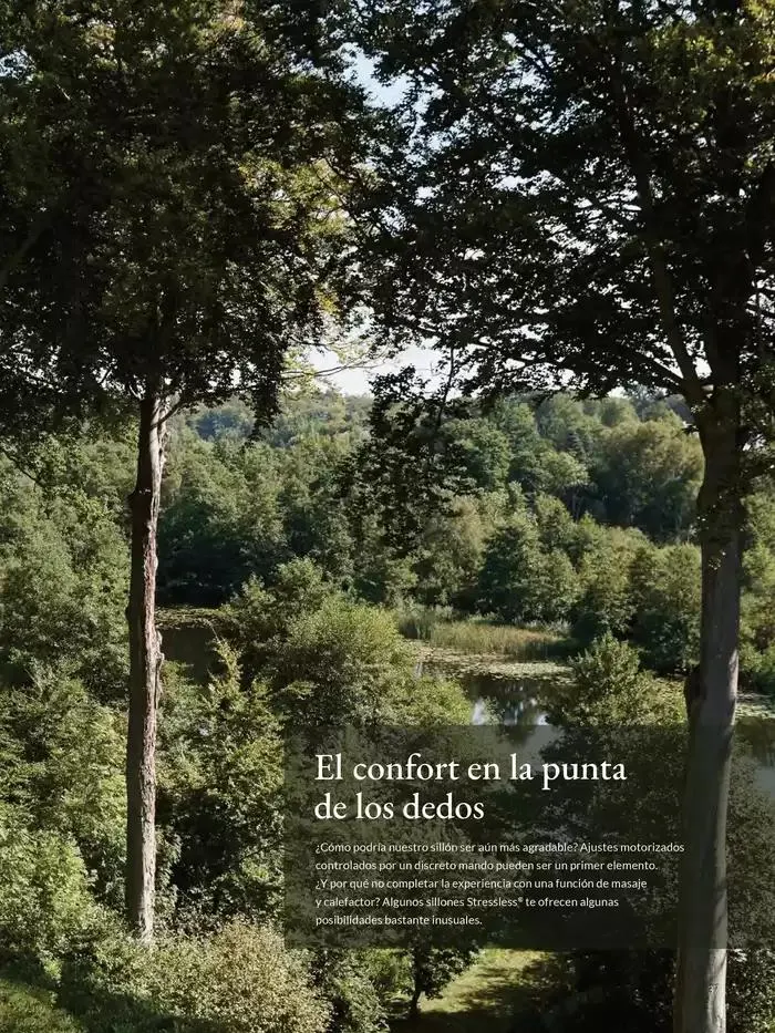 Catálogo de Catálogo Stressless 7 de marzo al 31 de agosto 2025 - Página 37