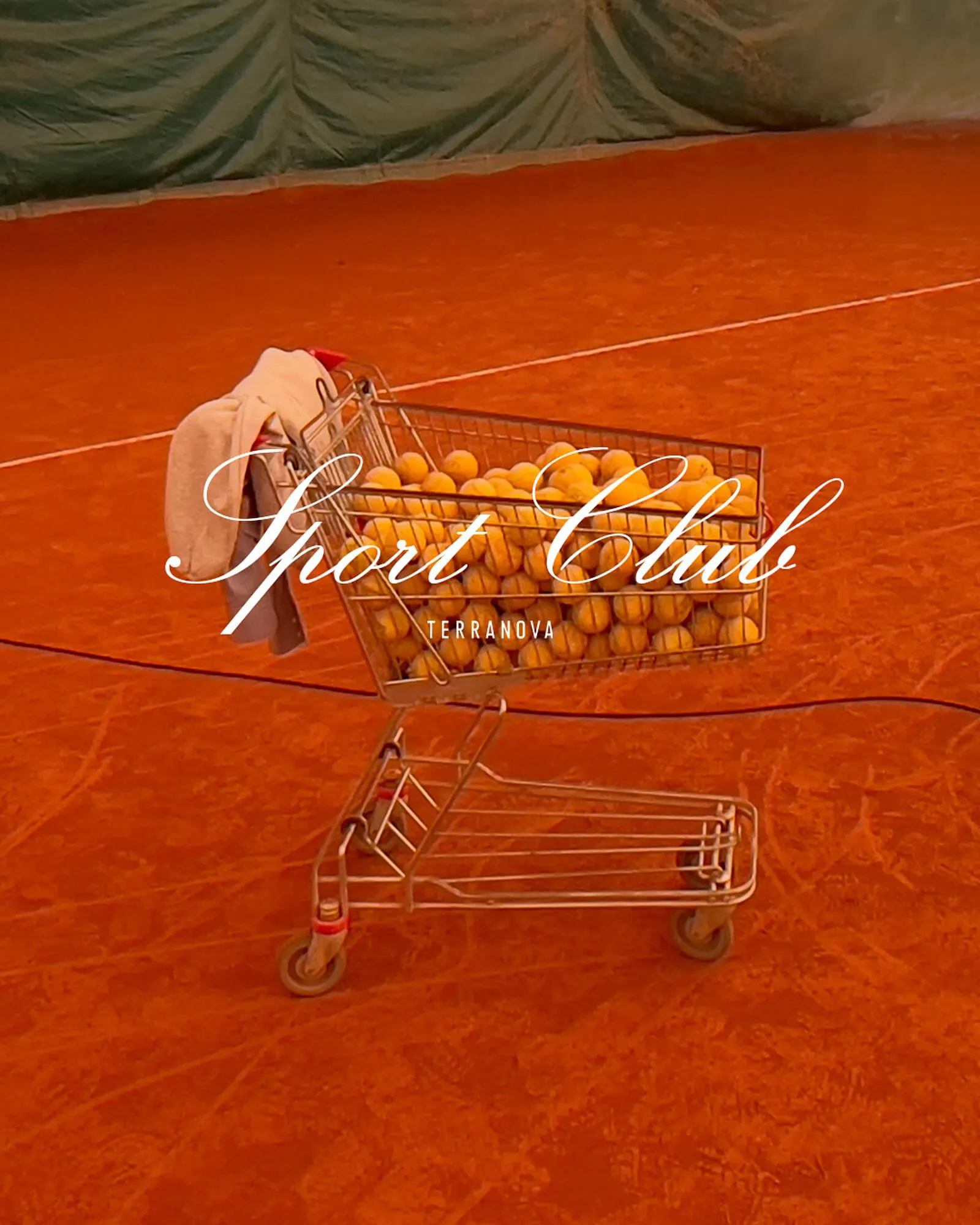 Catálogo de Folleto Terranova 8 de mayo al 5 de julio 2025 - Página 5