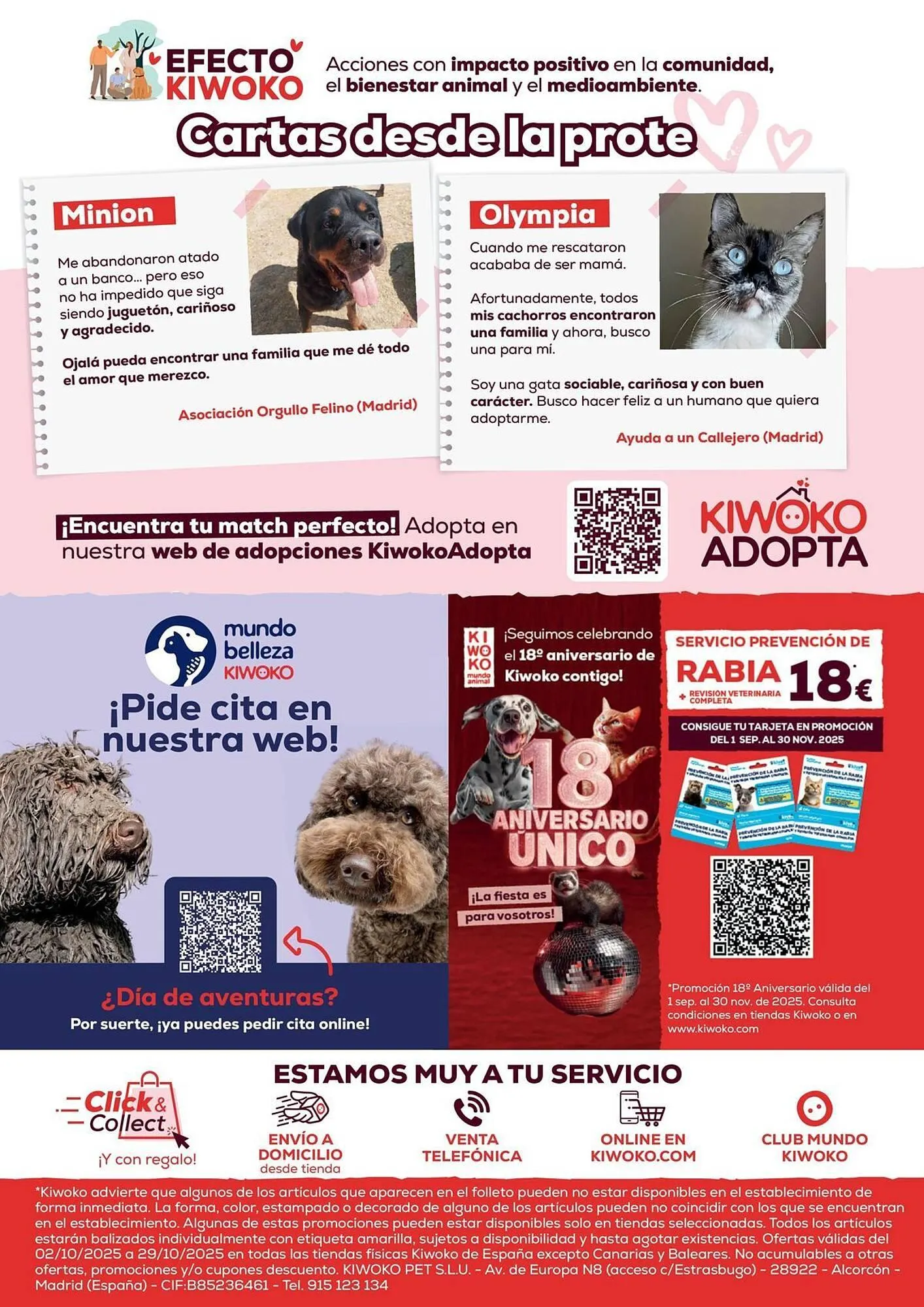 Catálogo de Folleto Kiwoko 2 de octubre al 29 de octubre 2025 - Página 16