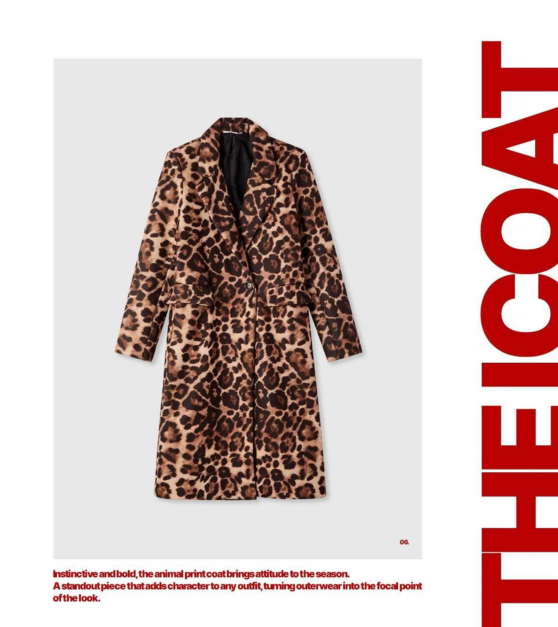 Catálogo de Folleto Terranova 6 de febrero al 12 de febrero 2026 - Página 4