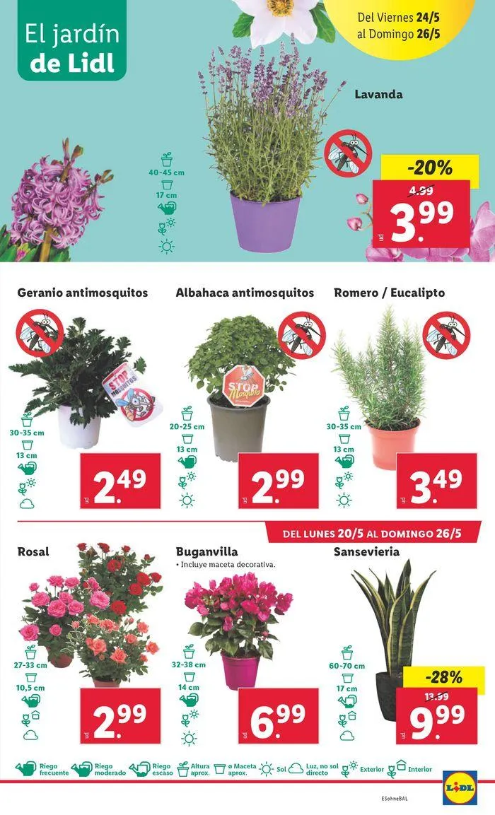 Catálogo de ¡Bazar Lidl! 20 de mayo al 26 de mayo 2024 - Página 41