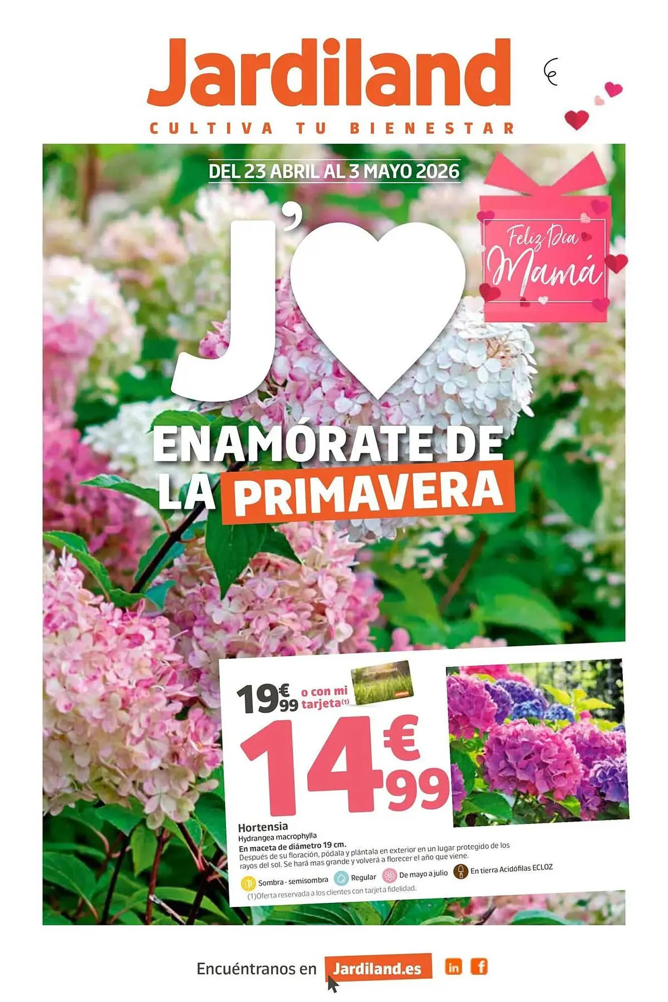 Catálogo Jardiland - 1