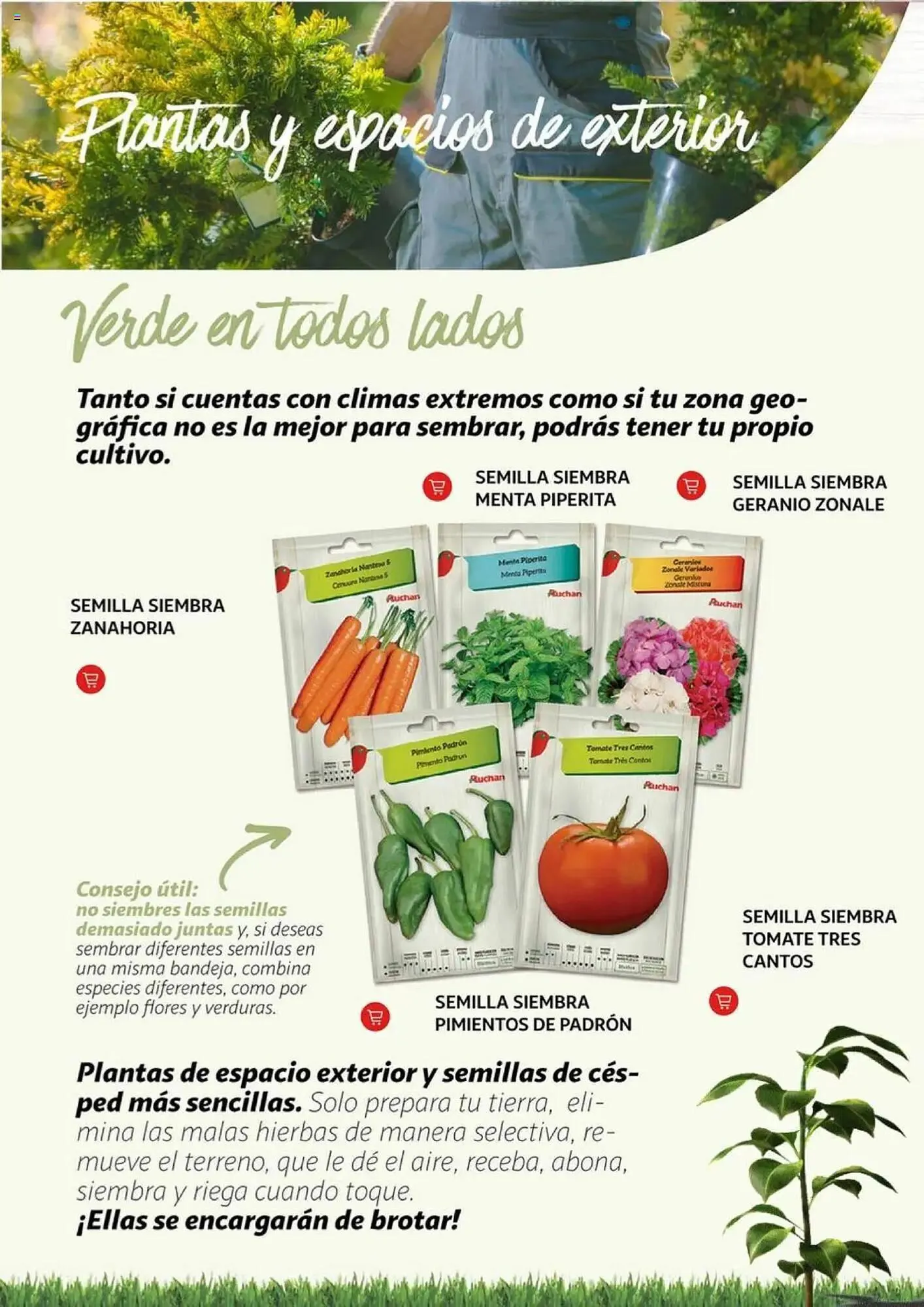 Catálogo de Folleto Alcampo 11 de febrero al 31 de diciembre 2025 - Página 8