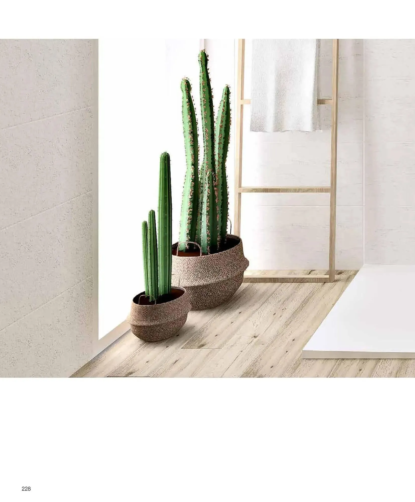 Catálogo de Folleto Grup Gamma 1 de febrero al 31 de diciembre 2023 - Página 227