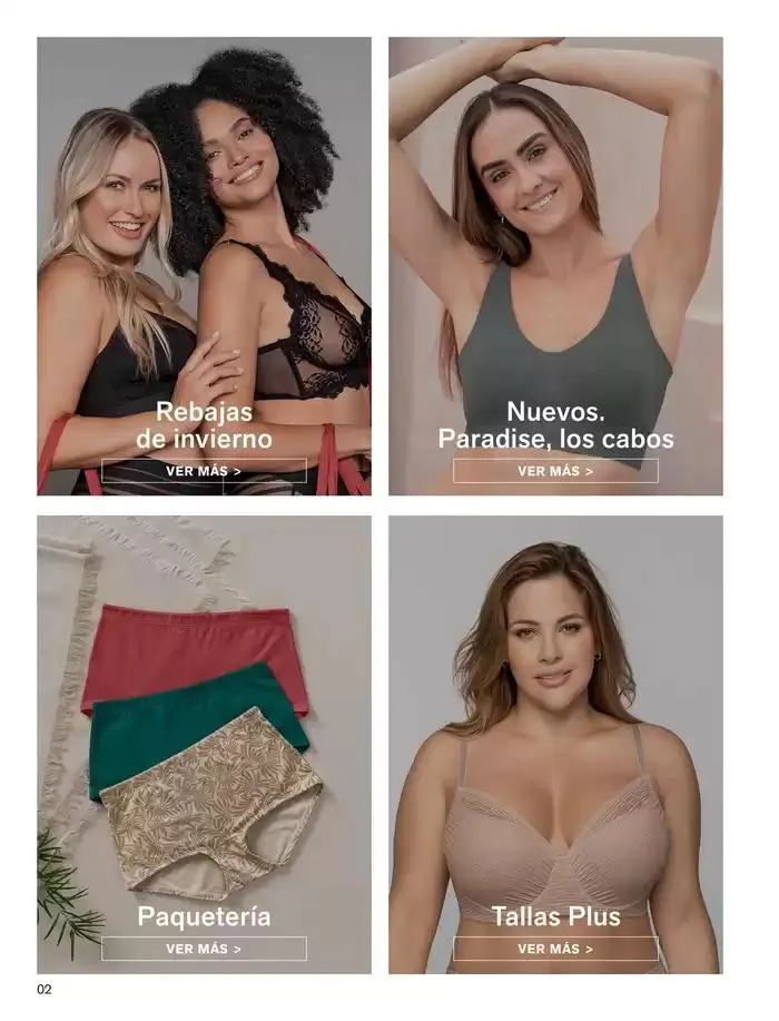 Catálogo de TEMPORADA DE PRECIOS BAJOS & OFERTAS 3 de febrero al 28 de febrero 2025 - Página 2