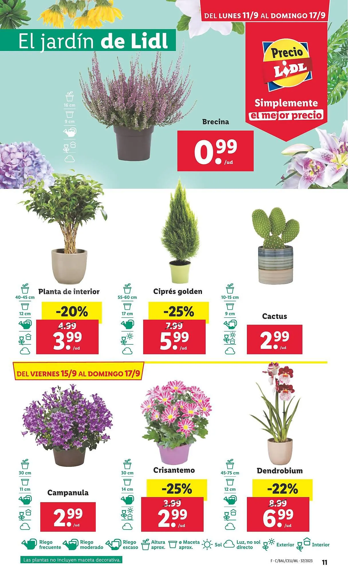 Catálogo de Folleto Lidl 11 de septiembre al 17 de septiembre 2023 - Página 31