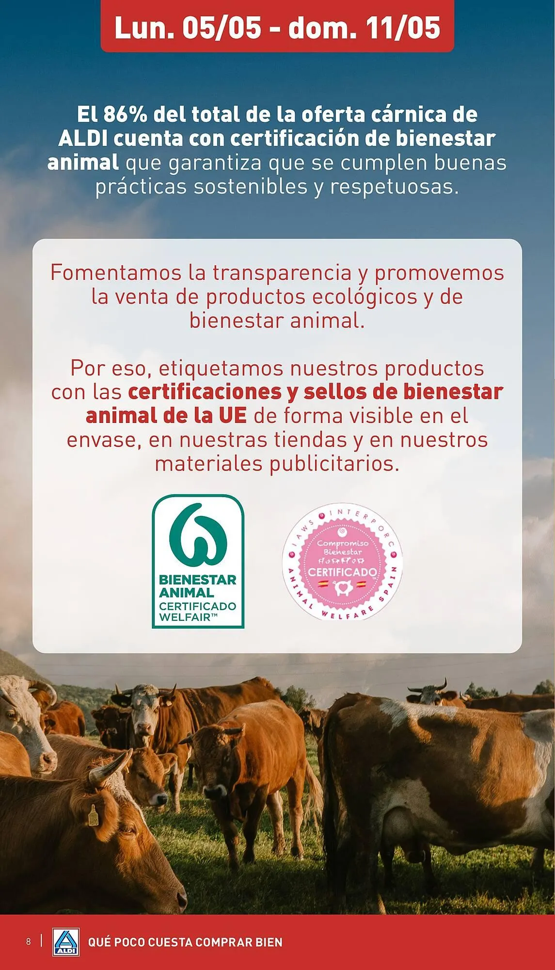 Catálogo de Folleto ALDI 5 de mayo al 11 de mayo 2025 - Página 8