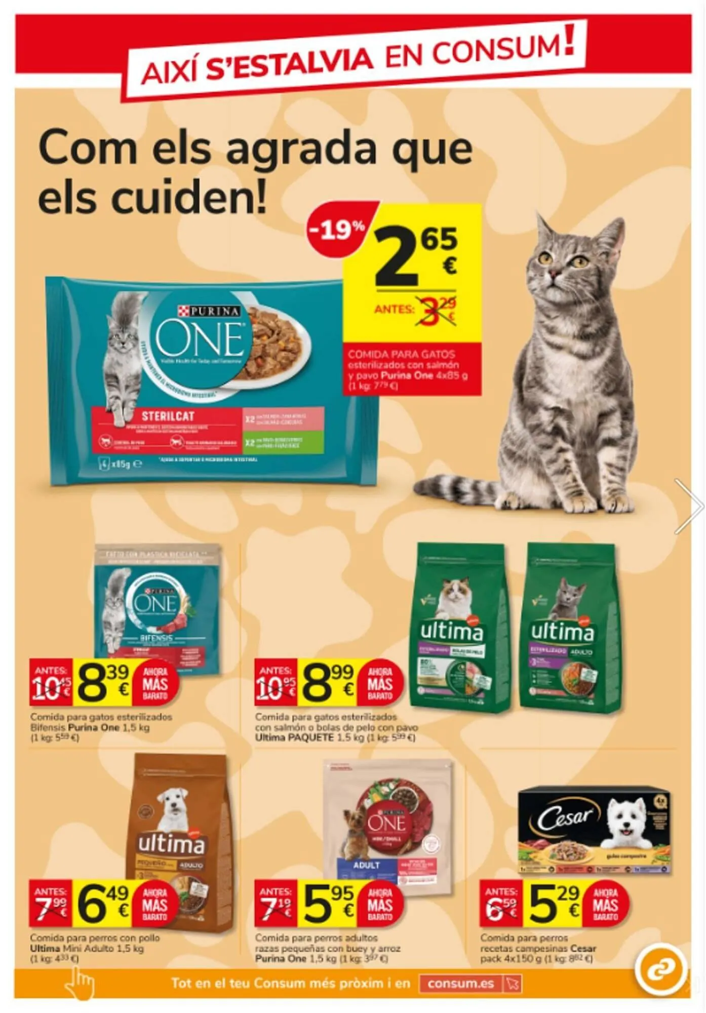 Catálogo de Catálogo Consum 26 de marzo al 22 de abril 2026 - Página 15