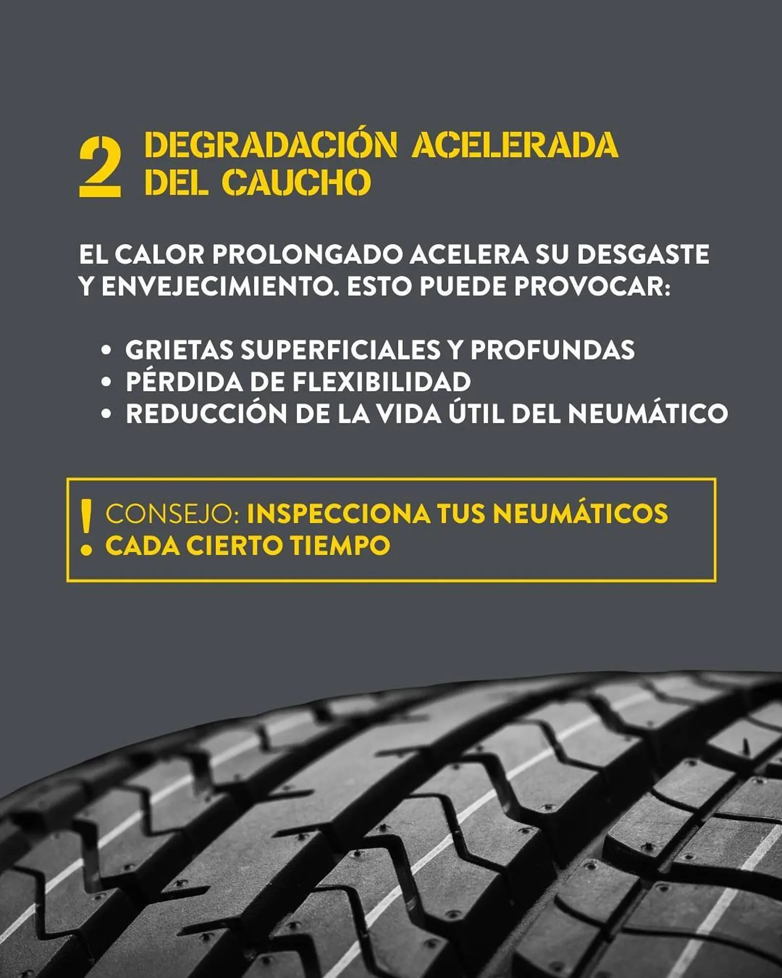 Catálogo de Folleto Rodi 12 de agosto al 25 de agosto 2025 - Página 3